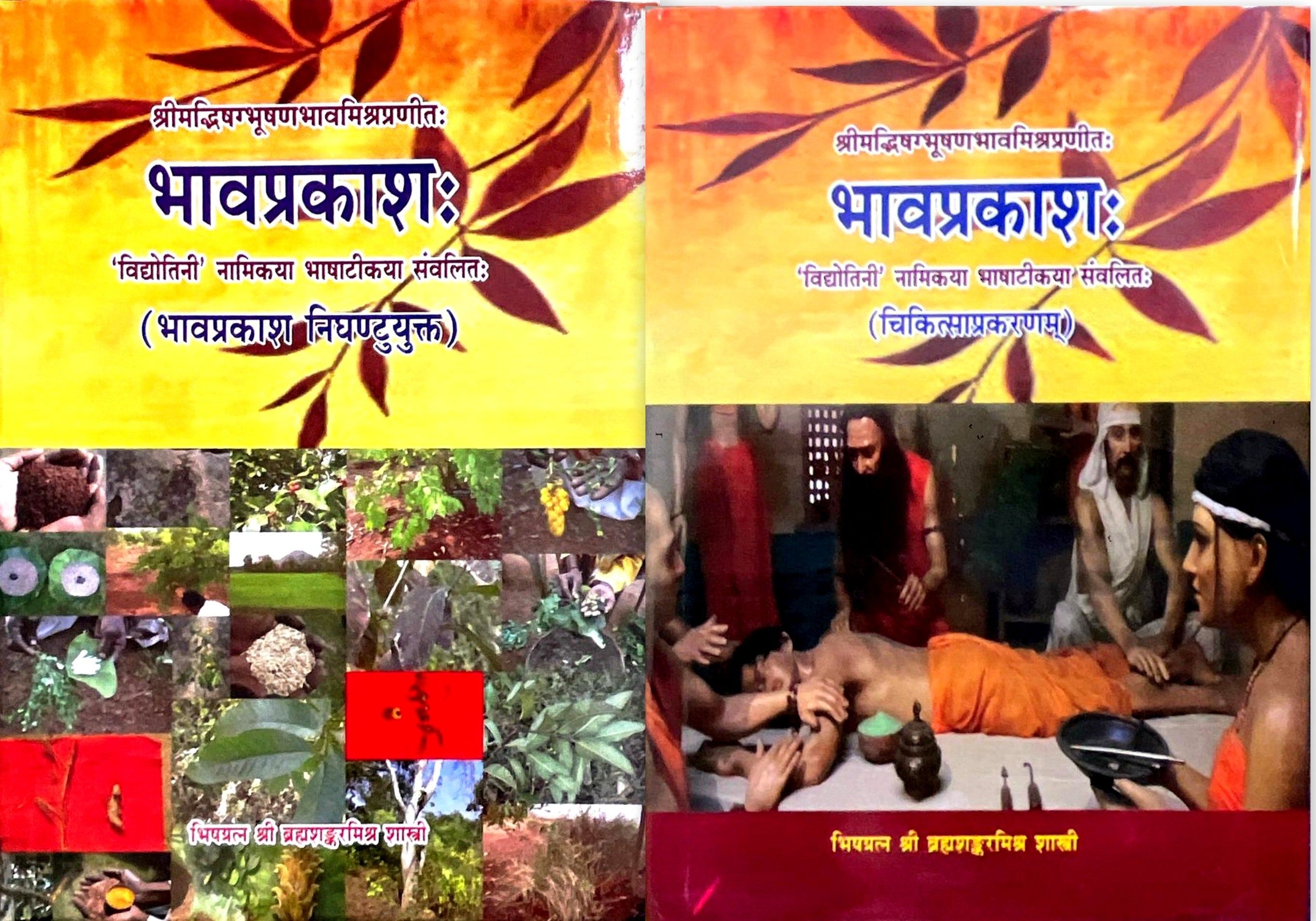 Bhav Prakashah (Chikitsa Prakaranam) [Sanskrit Hindi] By Brahma ...