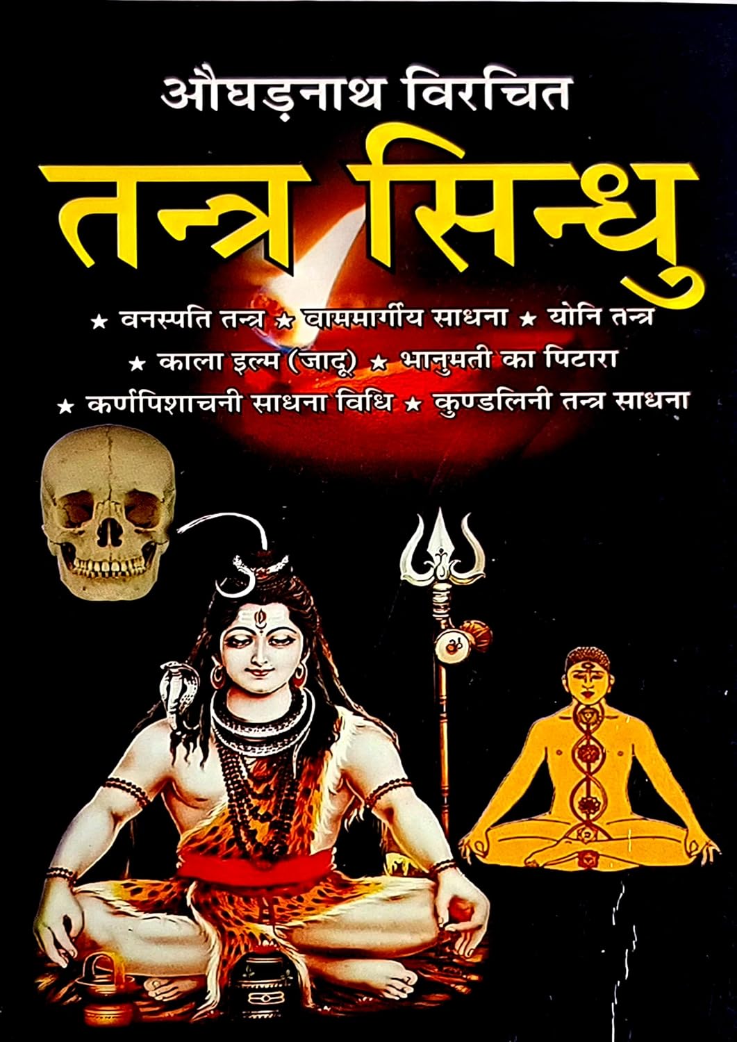 Tantra Sindhu [Hindi]