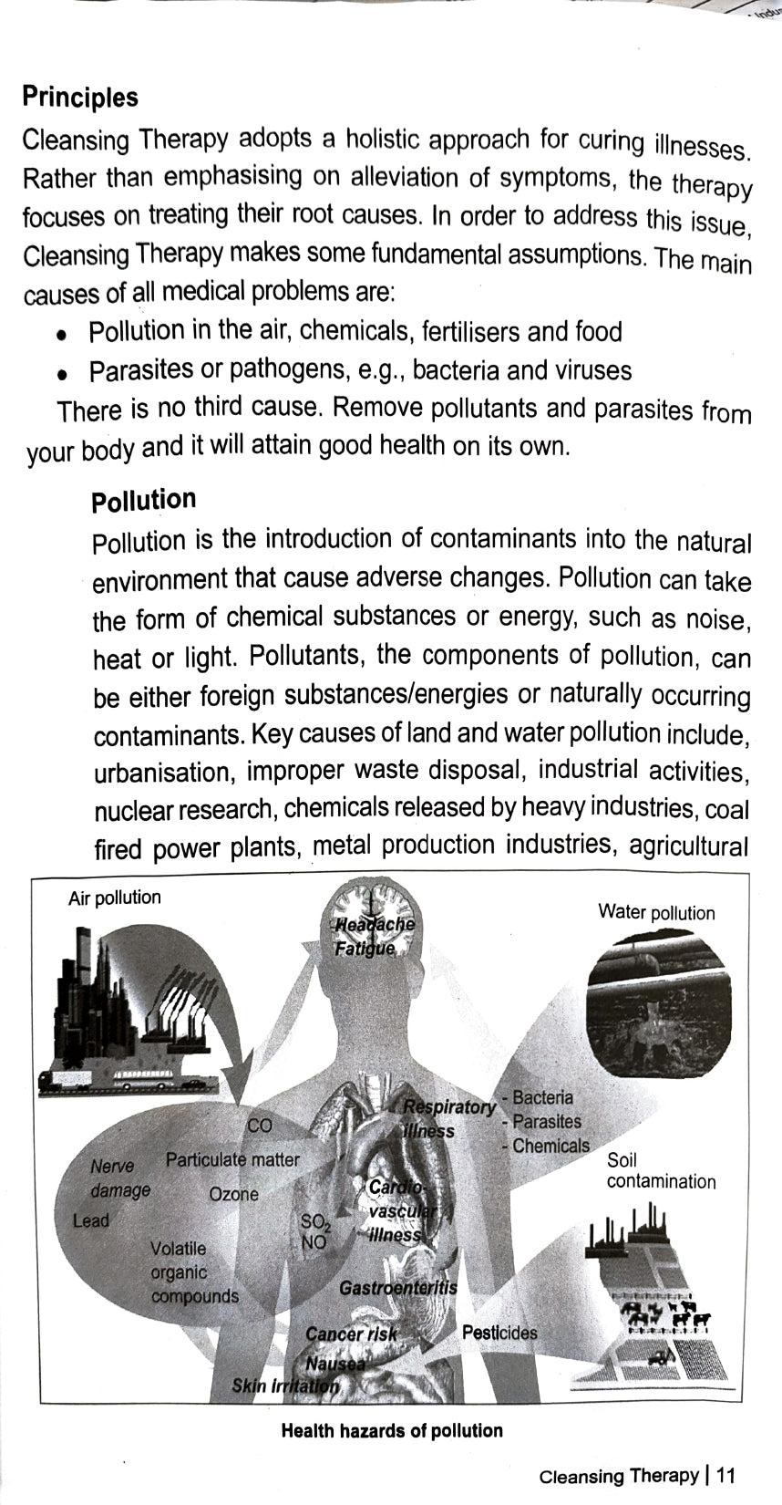 Cleansing Therapy - Cure Yourself [English]