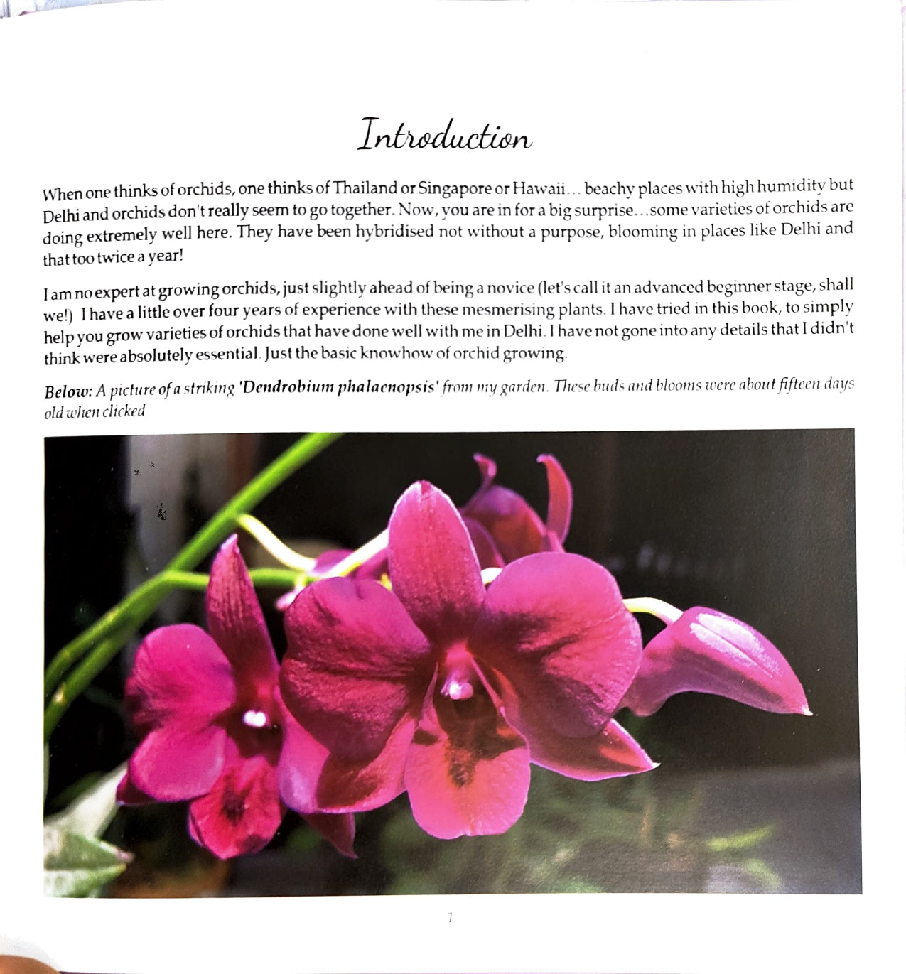 Growing Orchids in Delhi/ NCR [English]