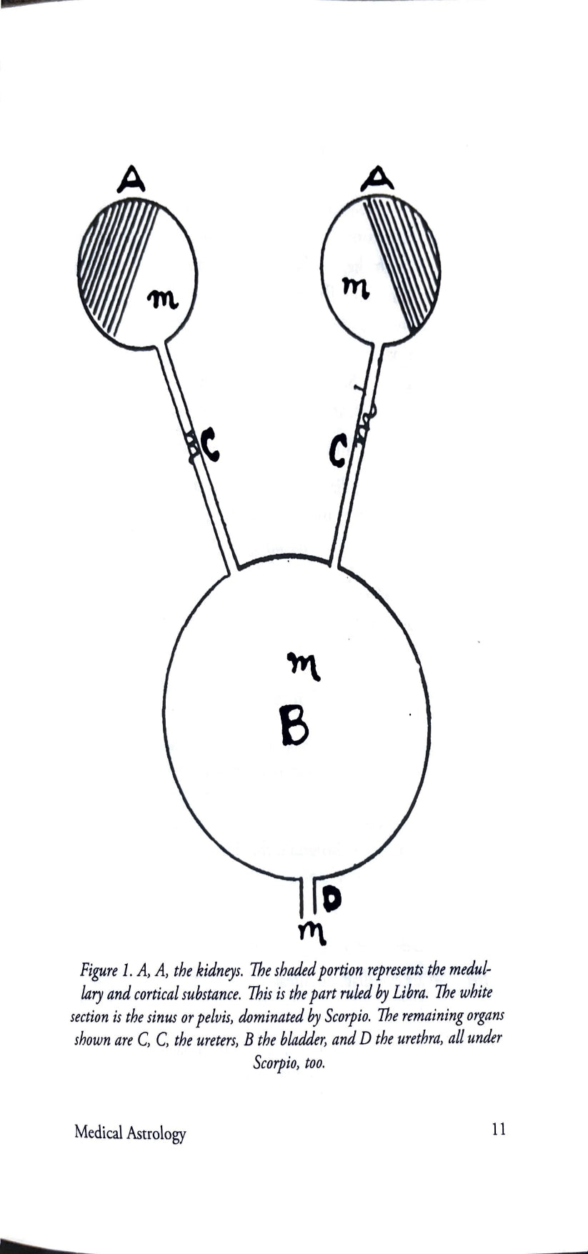 Medical Astrology [English]
