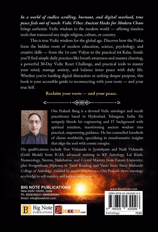 Vedic Vibes (Volume 1) [English]