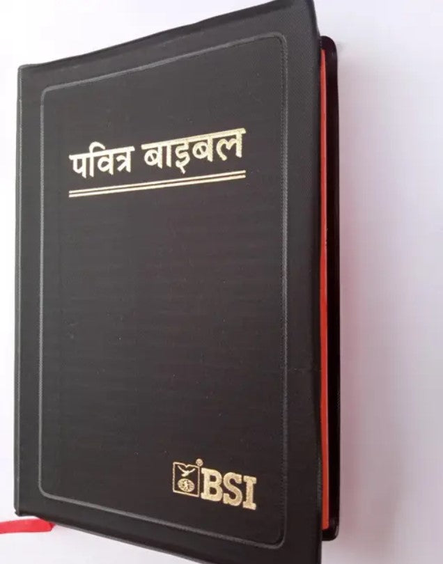 Pavitra Bible [Hindi]