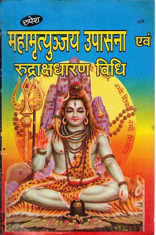 Mahamrityunjay Upasana & Rudraksh Dharan Vidhi (529)
