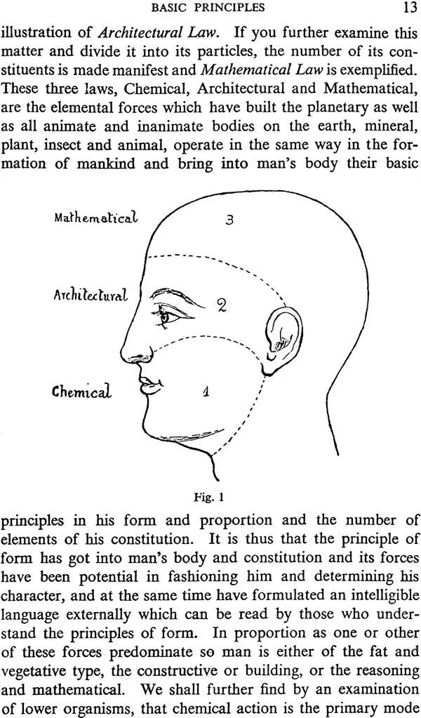 The Science of Physiognomy (Face Reading) Theoretical & Practical [English]