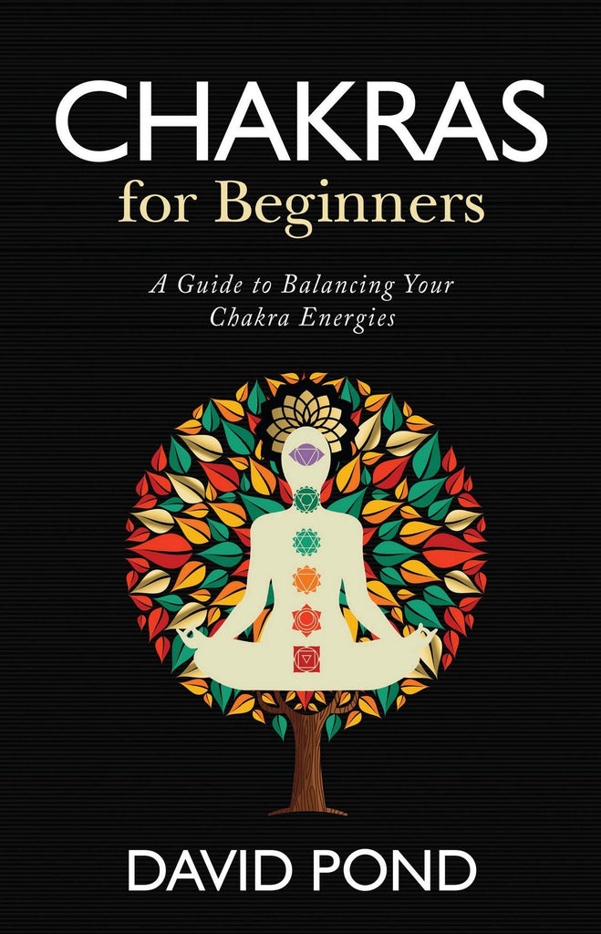 chakras-for-beginners-david-pond-manjul-publication