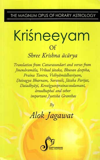 krisneeyam-of-shree-krishna-acarya-alok-jagawat