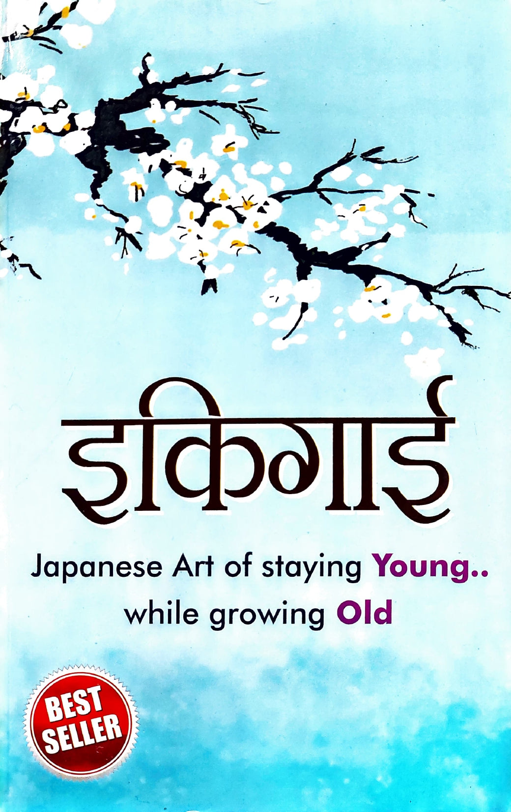 ikigai-hindi