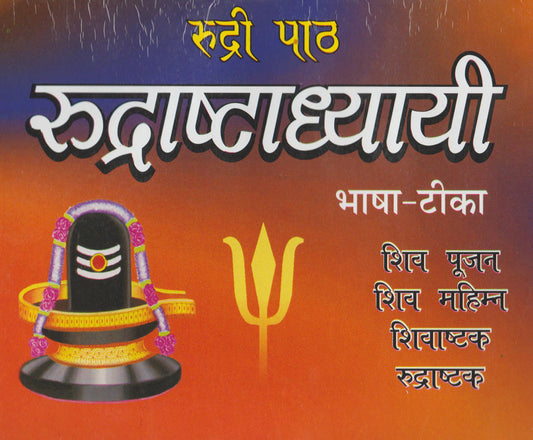 rudri-path-rudrashtadhyayi-anil-modi-randhir-prakashan