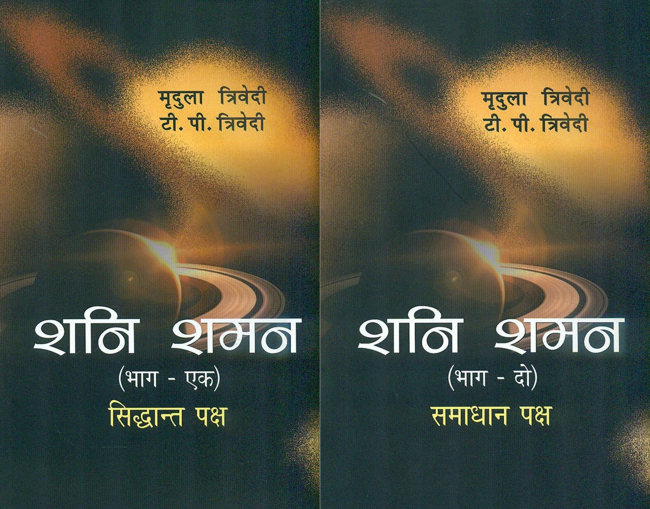 Shani Shaman (2 Volume Set) [Hindi] by Mridula Trivedi, TP Trivedi ...