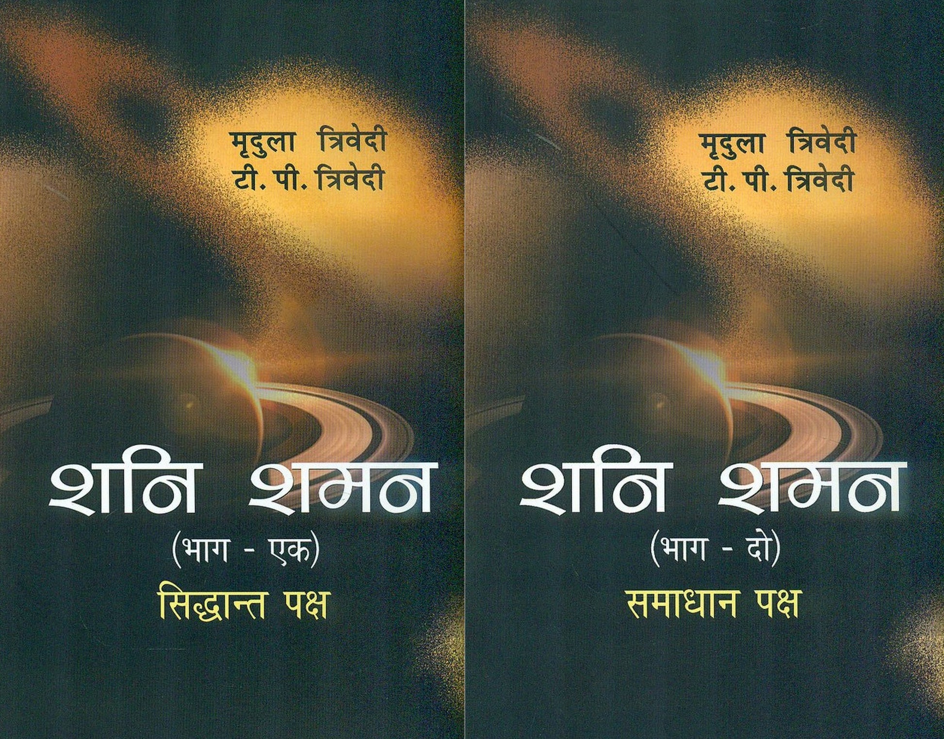 shani-shaman-mridula-trivedi-tp-trivedi-mlbd