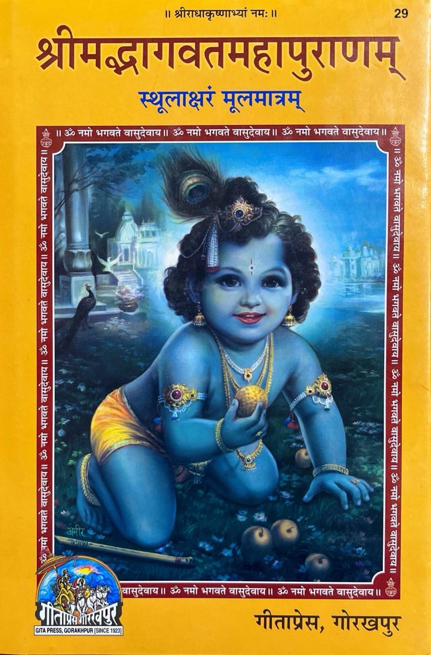 Shrimad Bhagwat Mahapuranam (Sthool Akshar Mool Matram) (29)
