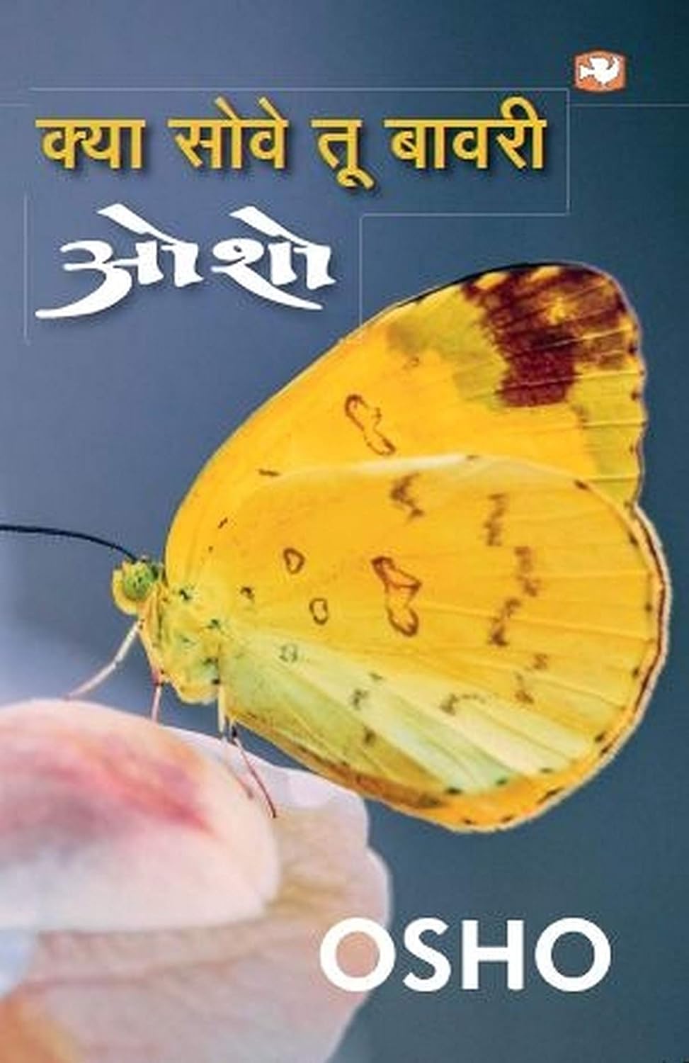 Osho: Kya Sove tu Bawri [Hindi]