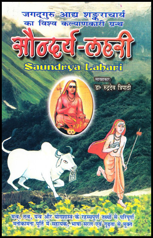 saundarya-lahari-hindi-s-c-mishra